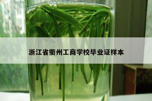 浙江省衢州工商学校毕业证样本