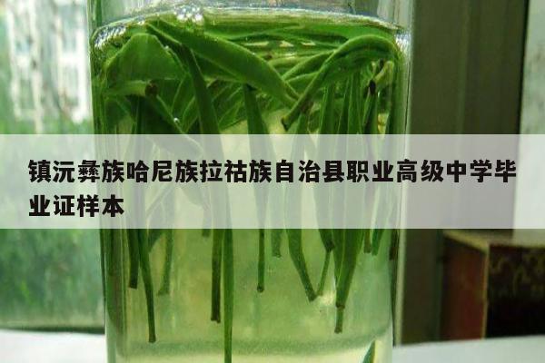 镇沅彝族哈尼族拉祜族自治县职业高级中学毕业证样本