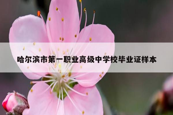 哈尔滨市第一职业高级中学校毕业证样本