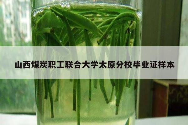 山西煤炭职工联合大学太原分校毕业证样本