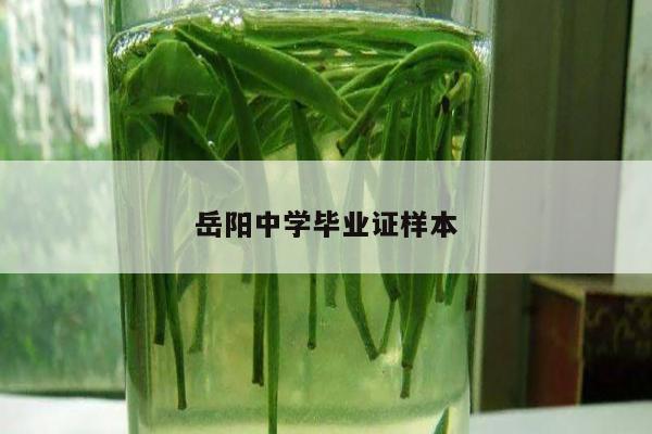 岳阳中学毕业证样本