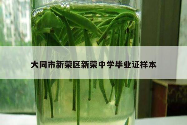大同市新荣区新荣中学毕业证样本