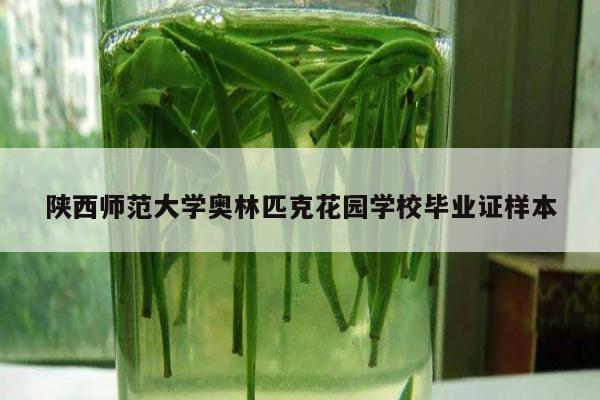 陕西师范大学奥林匹克花园学校毕业证样本