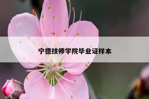 宁德技师学院毕业证样本