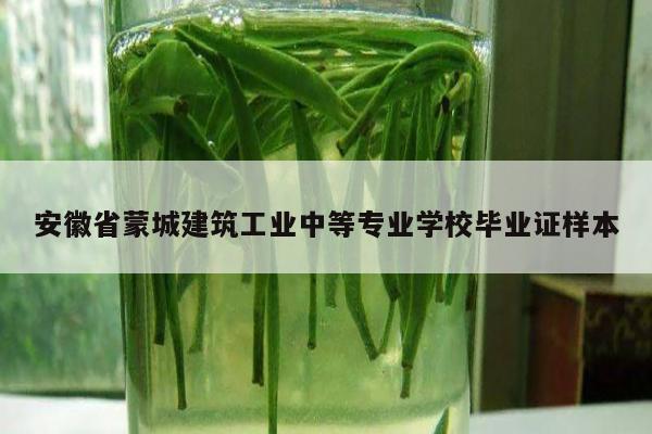 安徽省蒙城建筑工业中等专业学校毕业证样本
