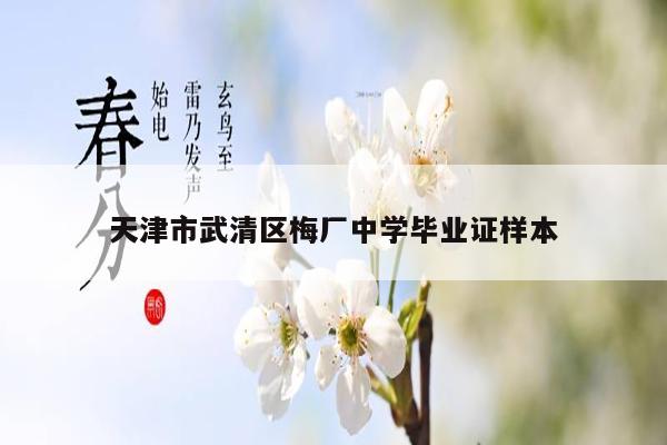天津市武清区梅厂中学毕业证样本