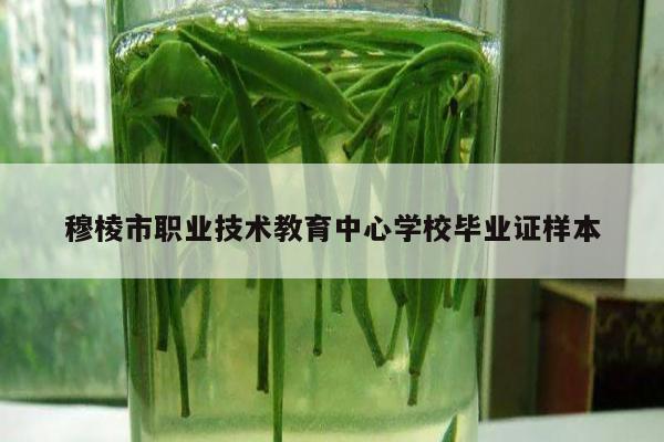 穆棱市职业技术教育中心学校毕业证样本
