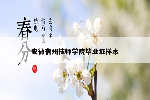 安徽宿州技师学院毕业证样本