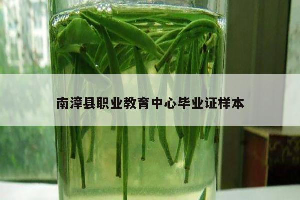 南漳县职业教育中心毕业证样本