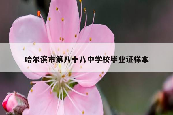 哈尔滨市第八十八中学校毕业证样本