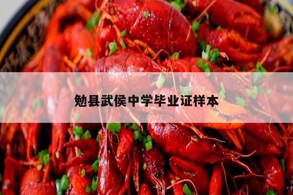 勉县武侯中学毕业证样本