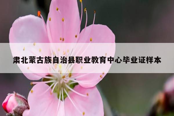 肃北蒙古族自治县职业教育中心毕业证样本