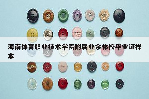 海南体育职业技术学院附属业余体校毕业证样本