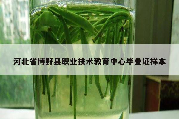 河北省博野县职业技术教育中心毕业证样本