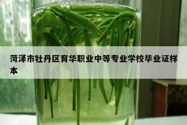 菏泽市牡丹区育华职业中等专业学校毕业证样本
