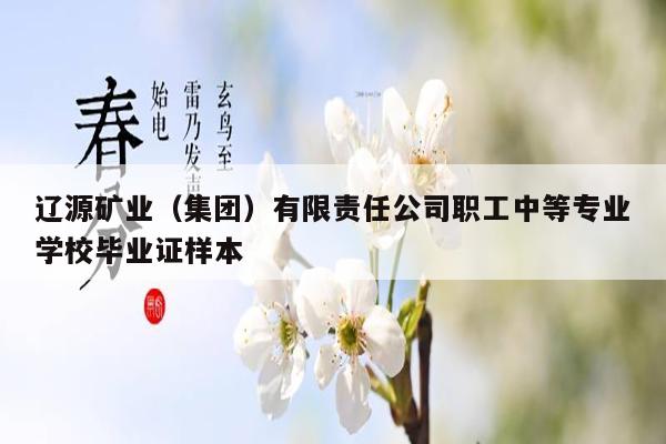 辽源矿业（集团）有限责任公司职工中等专业学校毕业证样本