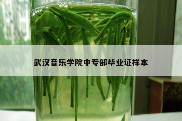 武汉音乐学院中专部毕业证样本