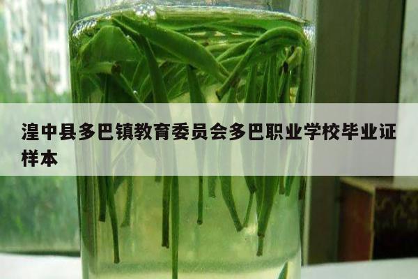 湟中县多巴镇教育委员会多巴职业学校毕业证样本