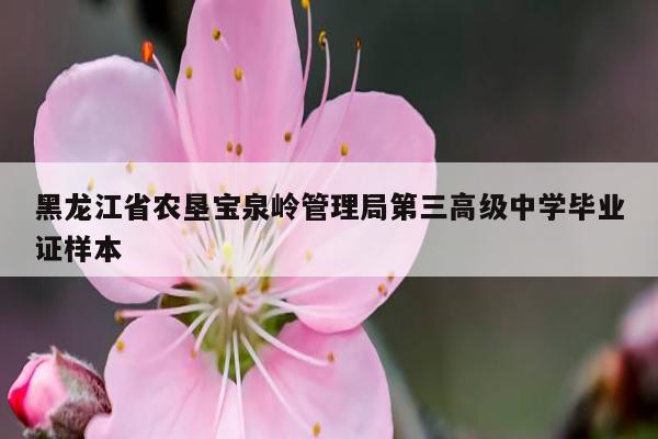 黑龙江省农垦宝泉岭管理局第三高级中学毕业证样本