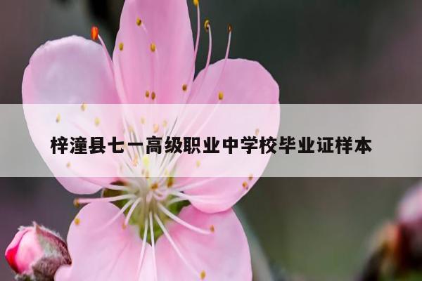 梓潼县七一高级职业中学校毕业证样本