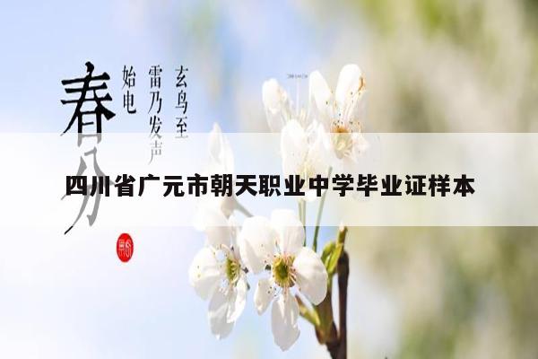 四川省广元市朝天职业中学毕业证样本