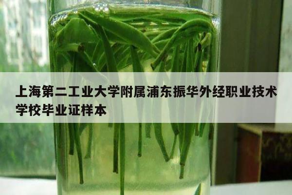 上海第二工业大学附属浦东振华外经职业技术学校毕业证样本